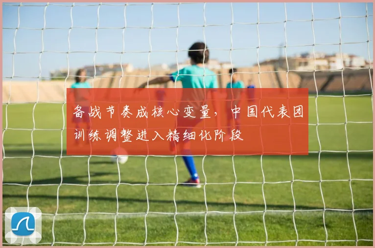 备战节奏成核心变量，中国代表团训练调整进入精细化阶段
